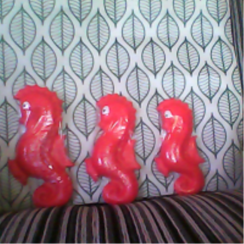 conjunto cavalo marinho